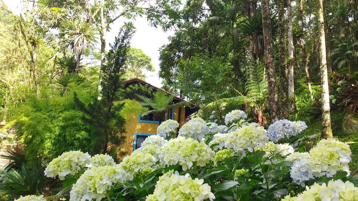 נובה פריבורגו Havila Arara Azul מראה חיצוני תמונה